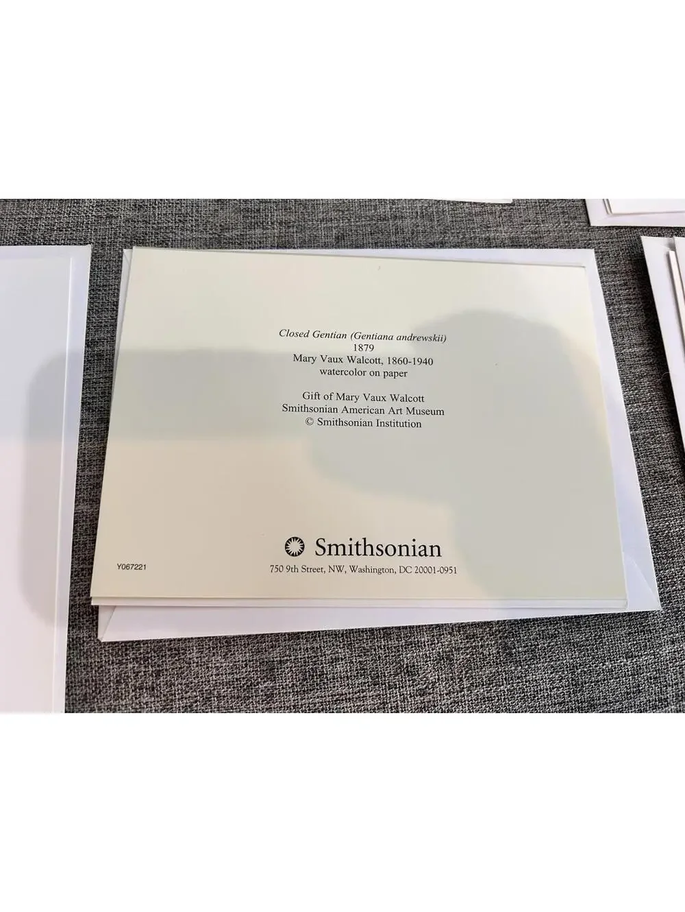 6 Smithsonian Greeting Cards Mary Faux Walcott With Envelopes